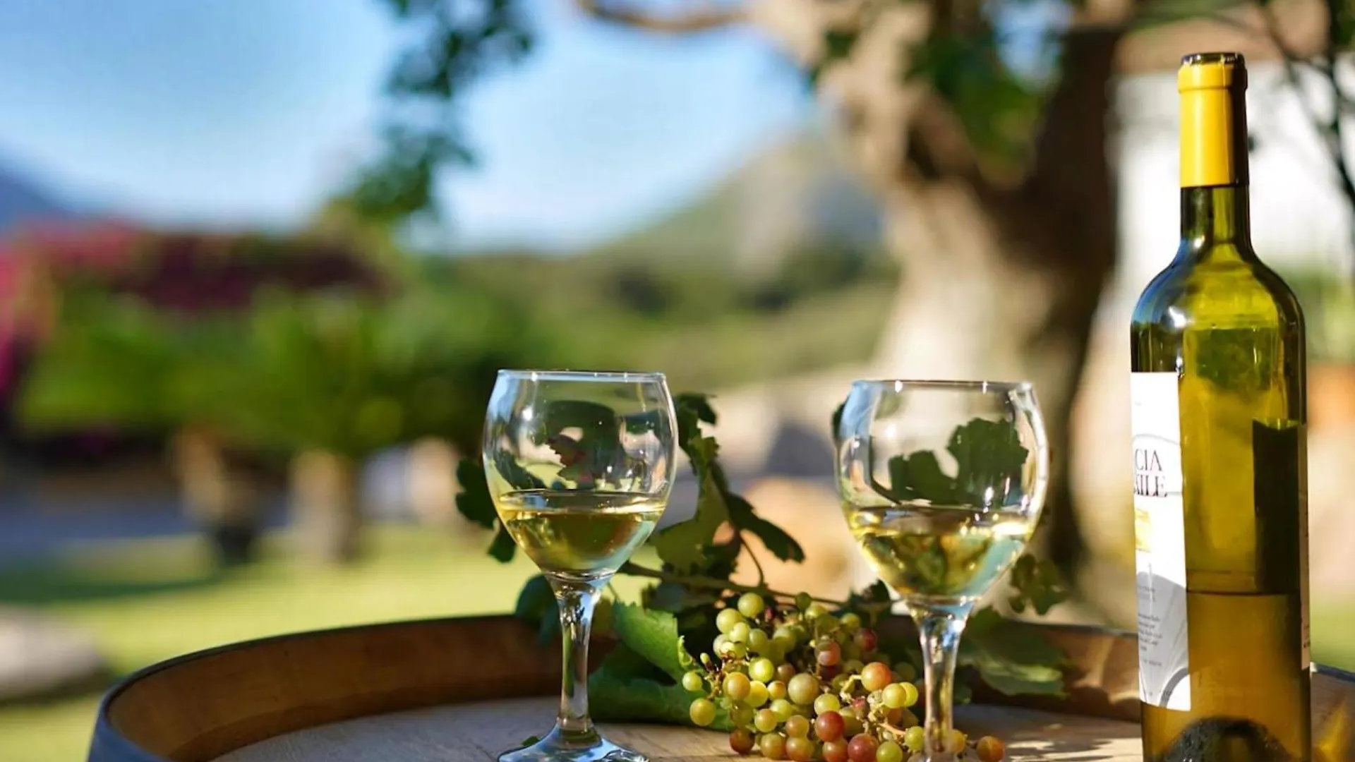 Ferienhaus Llop In Pollenca Mit Grill Und Garten 0*,  Spain